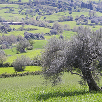 Photo de Sicile - La Sicile